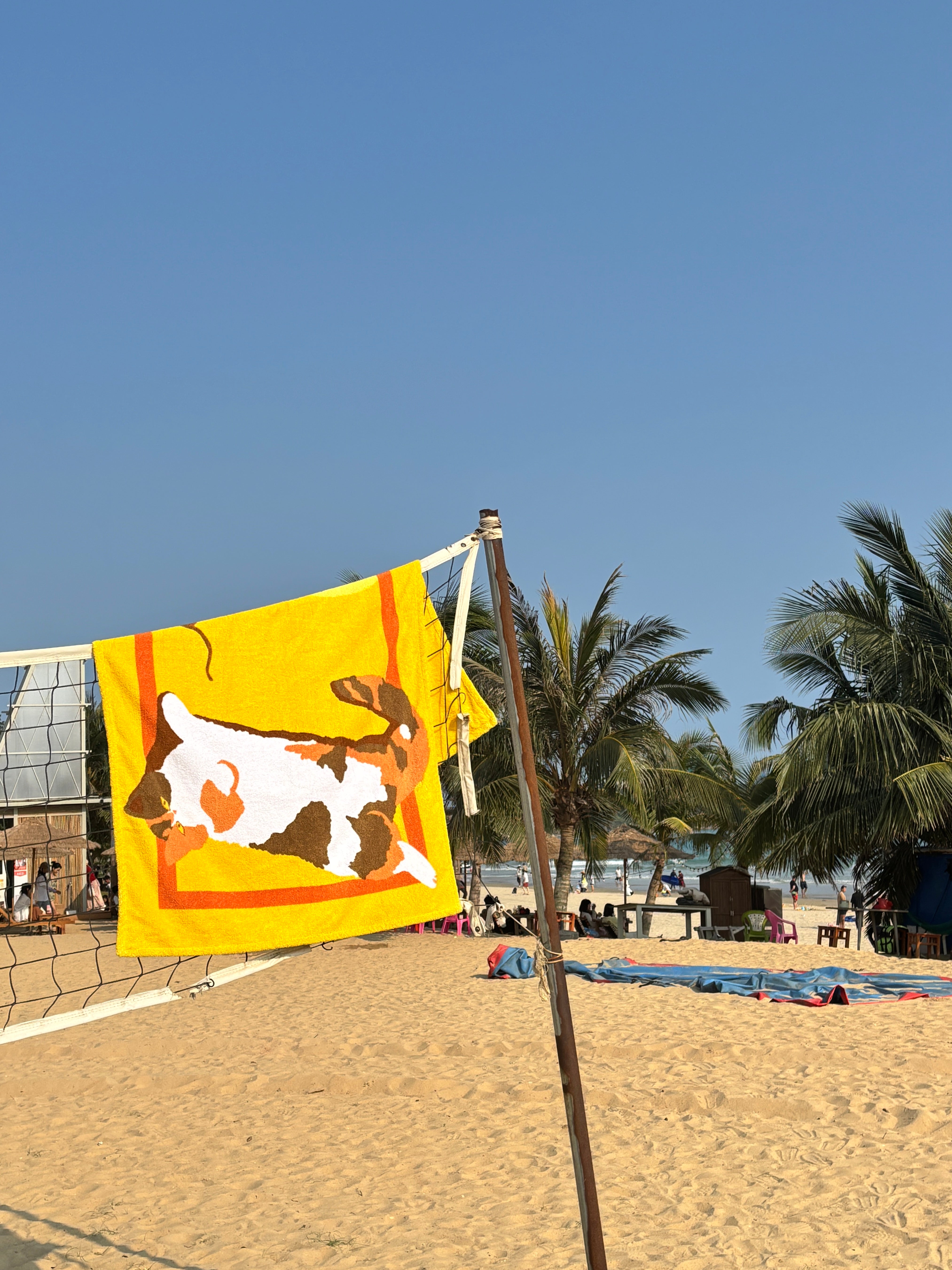 Beach Blankets: The Must-Have Gear for a Perfect Beach Day